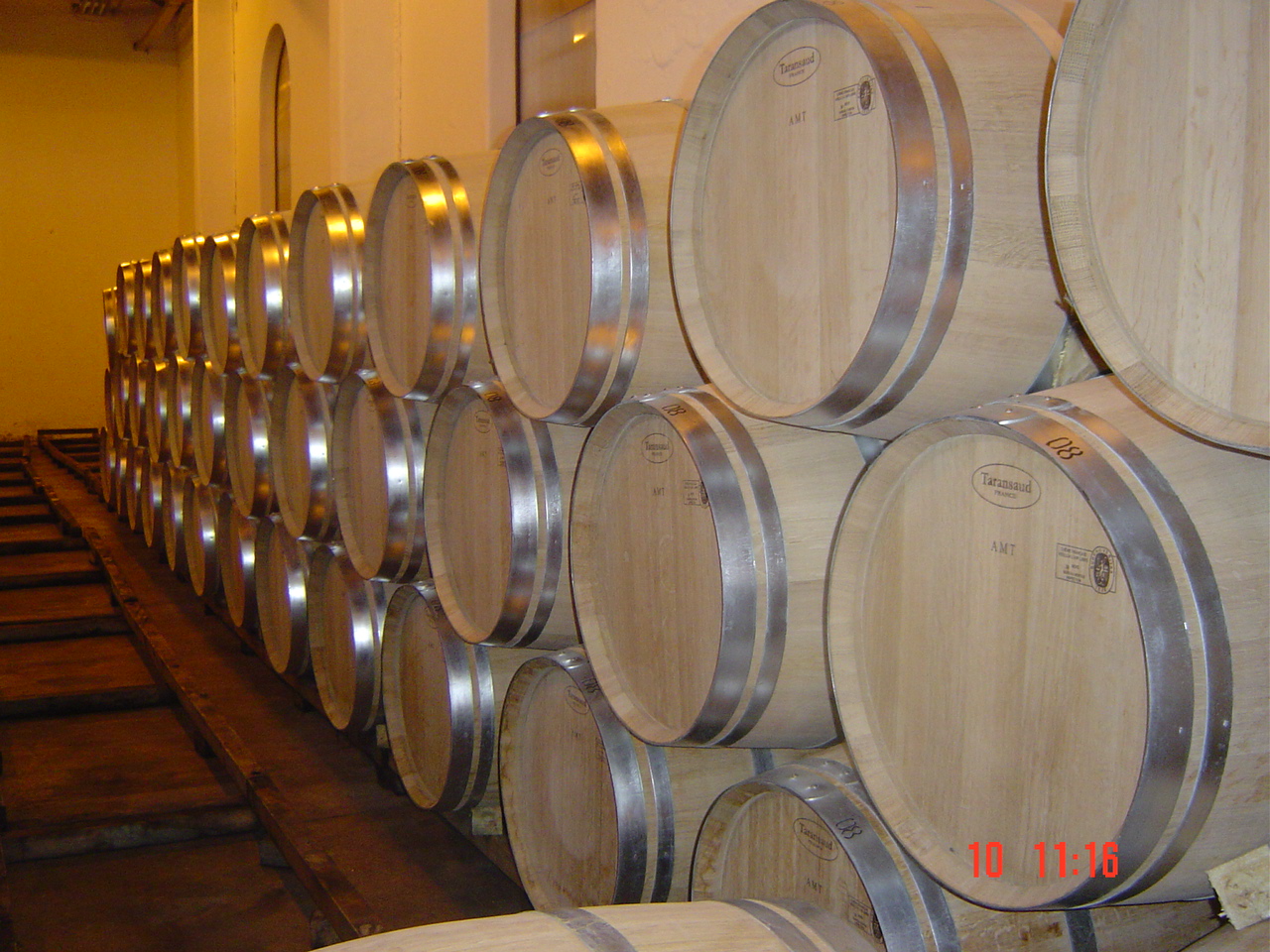 Curso Introducción a la Degustación del Vino